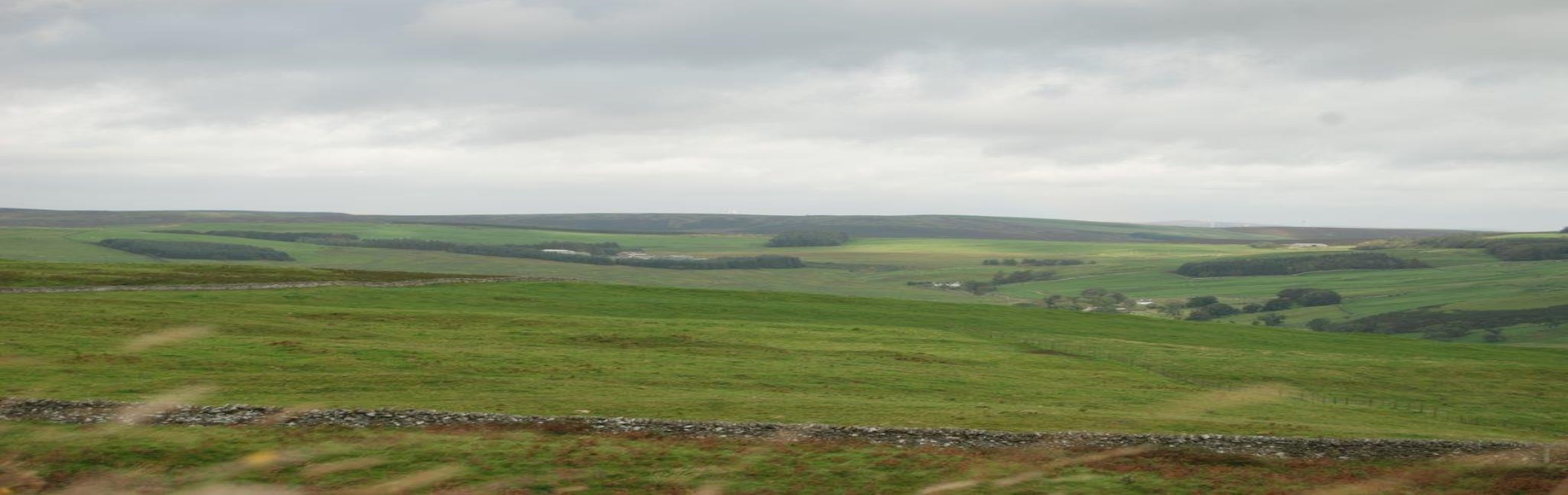 20210707082420.jpg