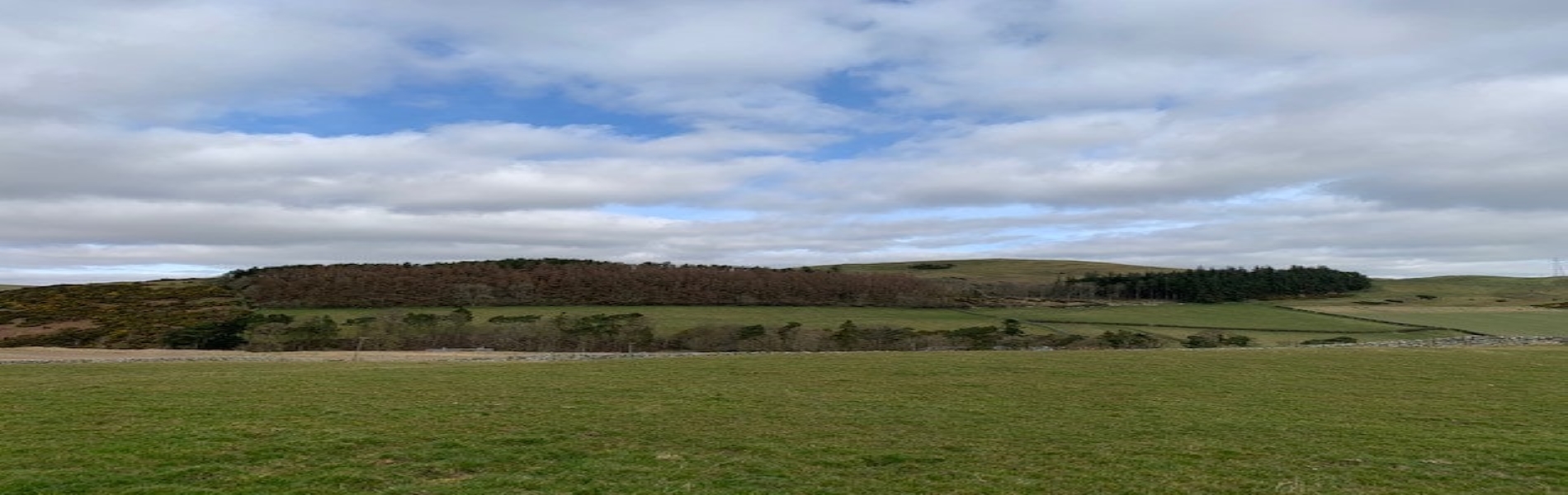20210707171114.jpg