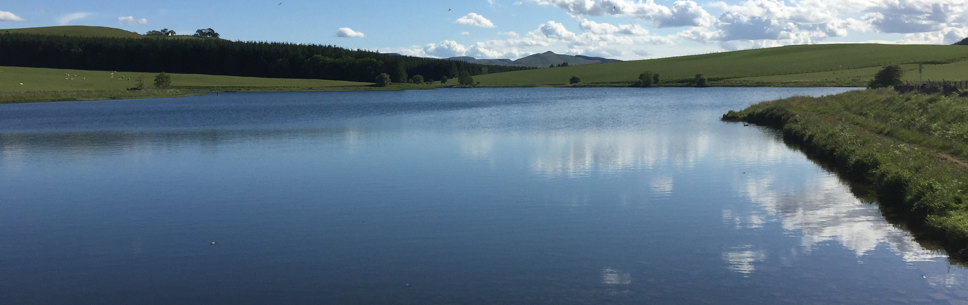 20201029164734.jpg